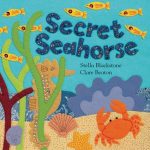Secret_Seahorse_BB_W