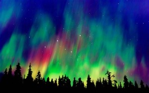 AR36Y1 Northern lights above taiga forest, Alaska, USA, America