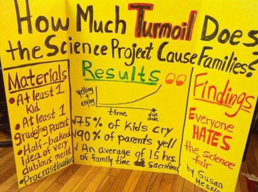 How much trouble does science fair cost