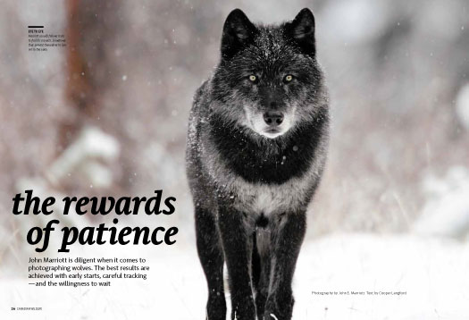 the_rewards_of_patience-525