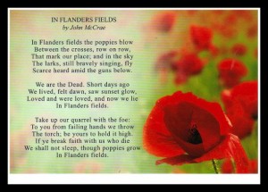 flanders-poppy-fields-poem-i10