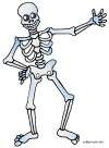 science_skeleton