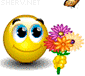 amazing-butterfly-smiley-emoticon-animation