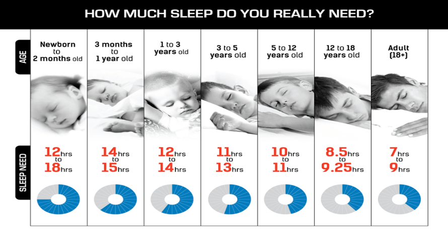 Do you really need. How much Sleep do we need. How many hours to Sleep. How do i Sleep. Normal Sleep.