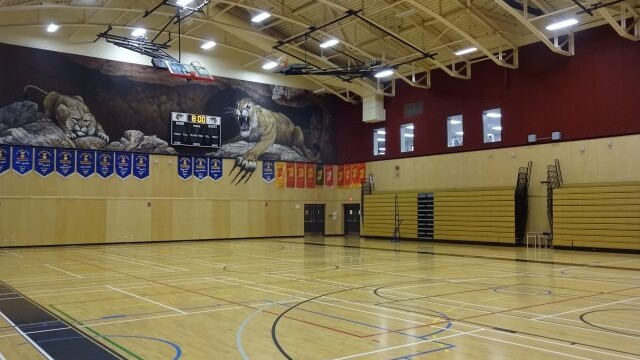 Large Gym
