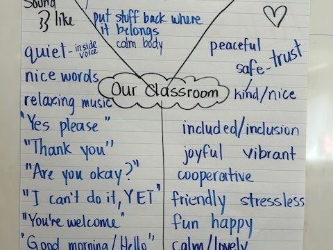 After students worked in groups, we created a chart together to summarize ideas.