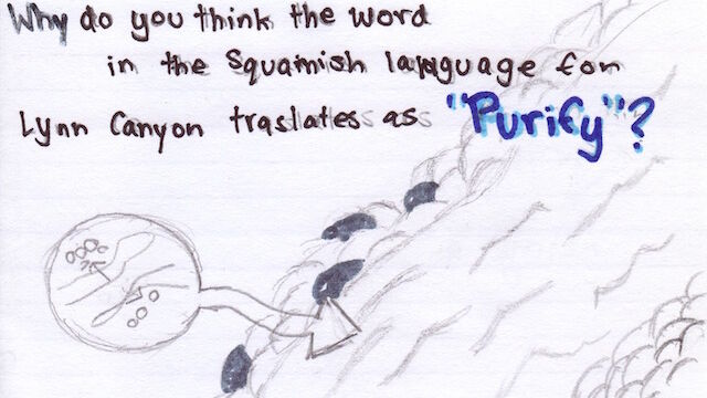 purify19