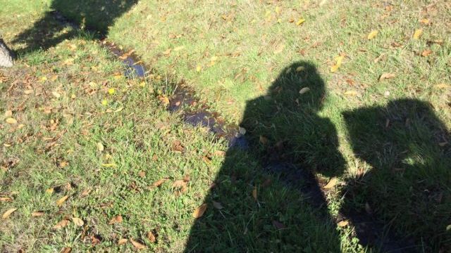 La pluie laisse sa trace. Rain leaves puddles and streams.