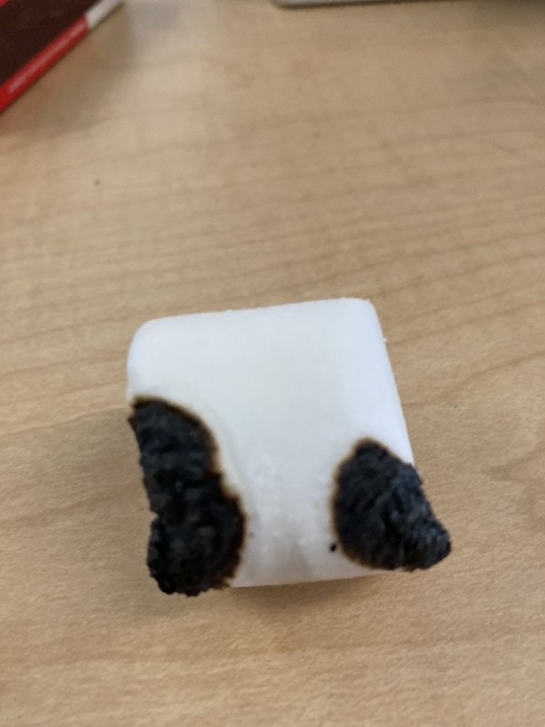 Exploding Marshmallow Marshmallow Science Part 2: Irreversible Changes – What's New in Room 22