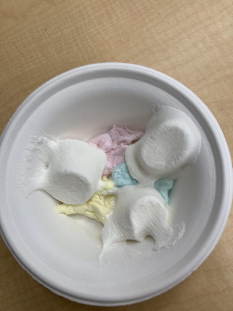 Physical and Chemical Changes Metamorphic Marshmallows What's New in